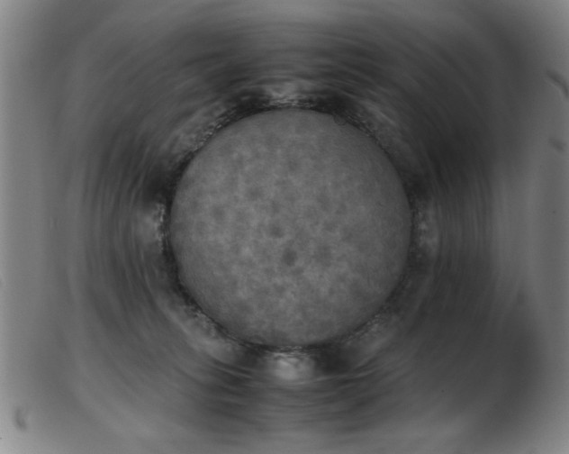X0000103900275200809191246