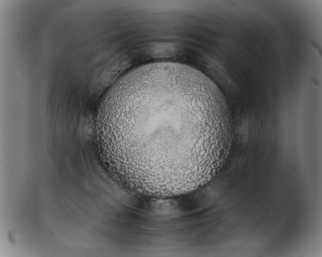 X0000103900277200809191246