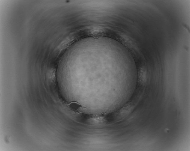 X0000103900278200809191246