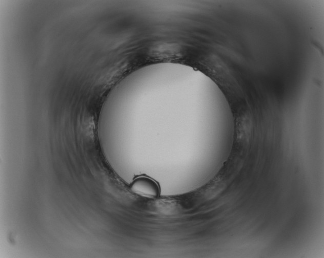 X0000103900279200809191246