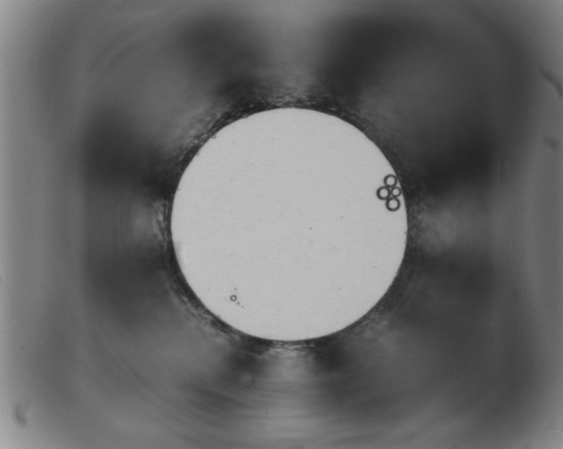 X0000103900280200809191246