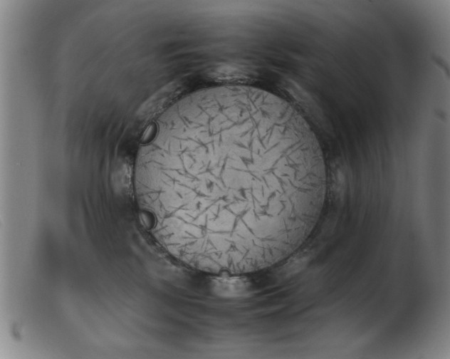 X0000103900281200809191246