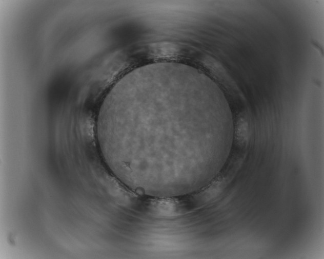 X0000103900282200809191246