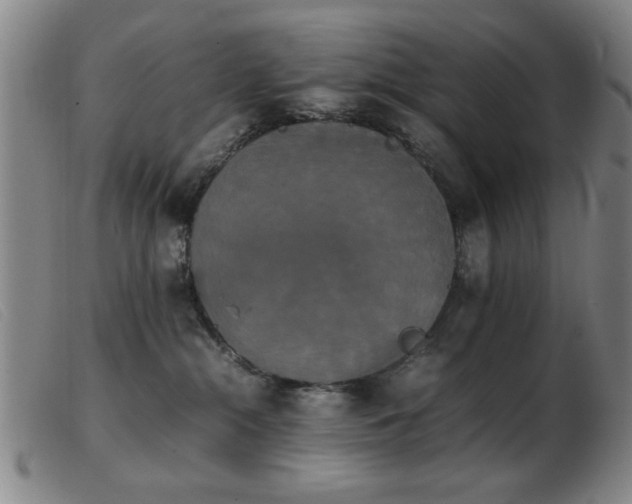 X0000103900284200809191246