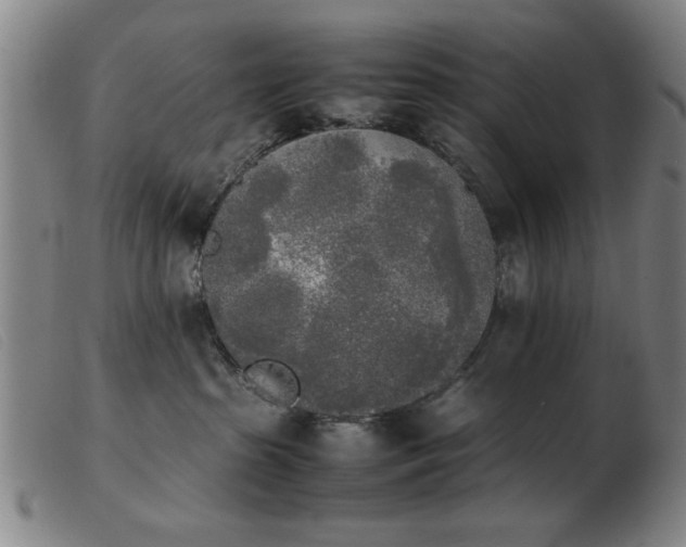 X0000103900285200809191246