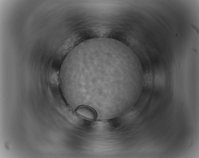 X0000103900286200809191246