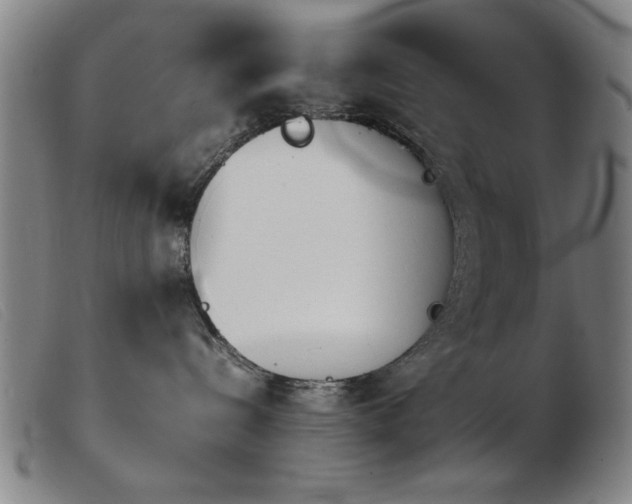 X0000103900288200809191246