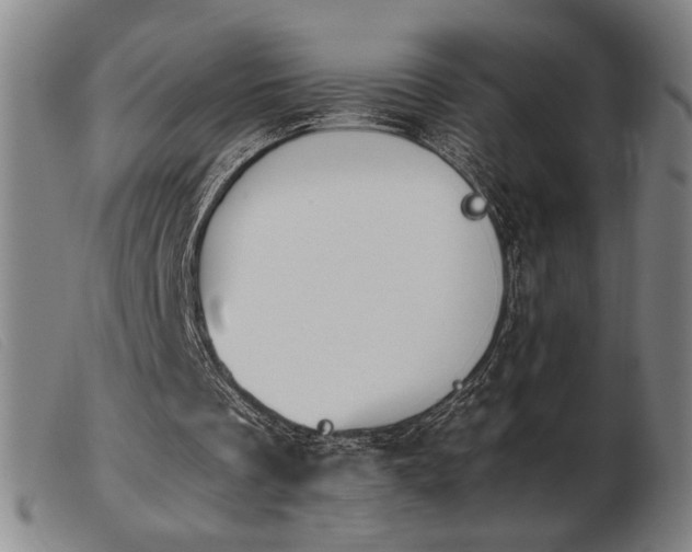 X0000103900289200809191245