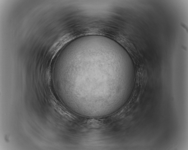 X0000103900290200809191245
