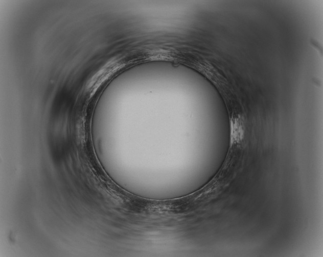 X0000103900291200809191245