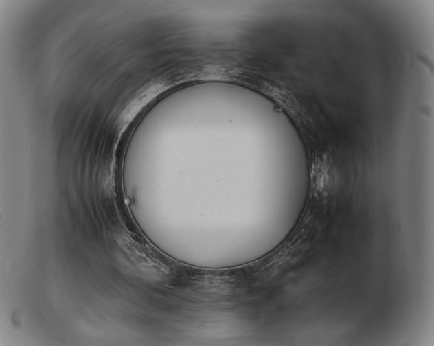 X0000103900292200809191245