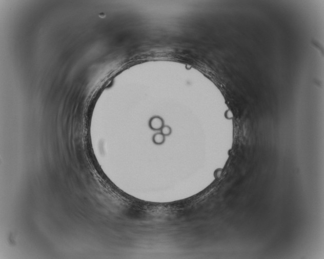 X0000103900293200809191245