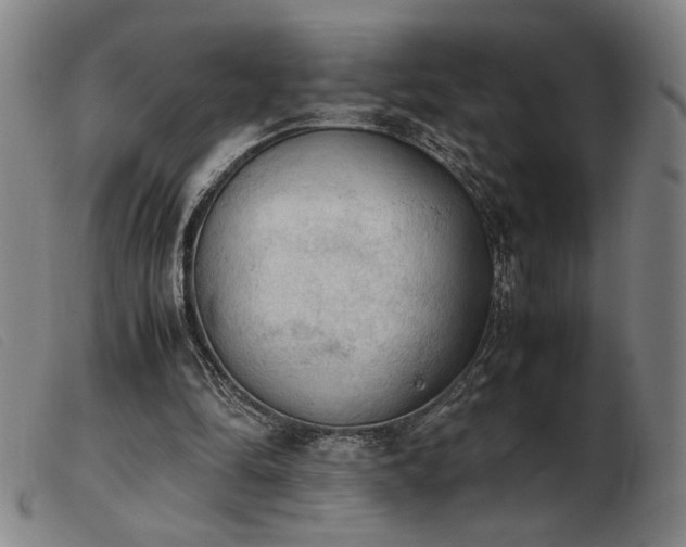 X0000103900294200809191245