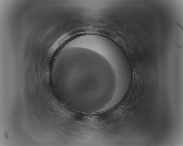 X0000103900295200809191245
