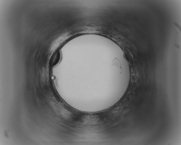 X0000103900296200809191245