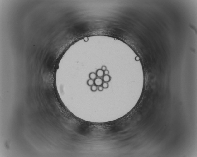 X0000103900297200809191245
