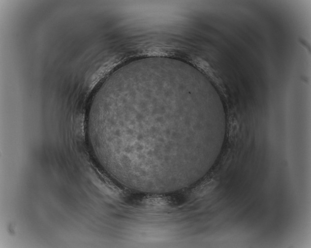 X0000103900299200809191245