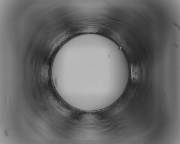 X0000103900300200809191245