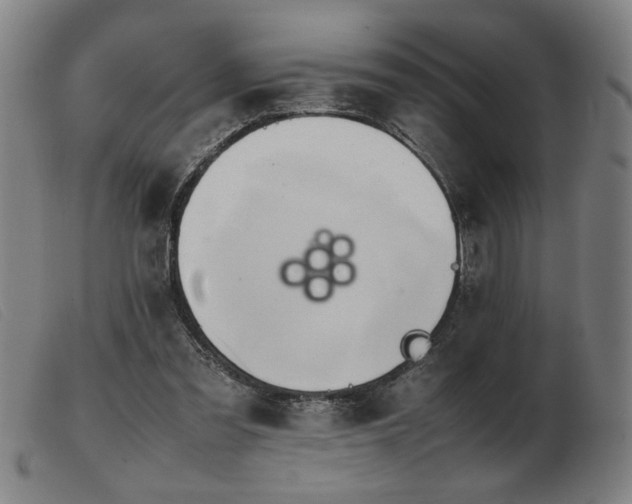 X0000103900301200809191245