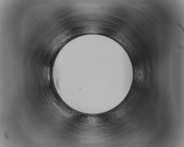 X0000103900302200809191245