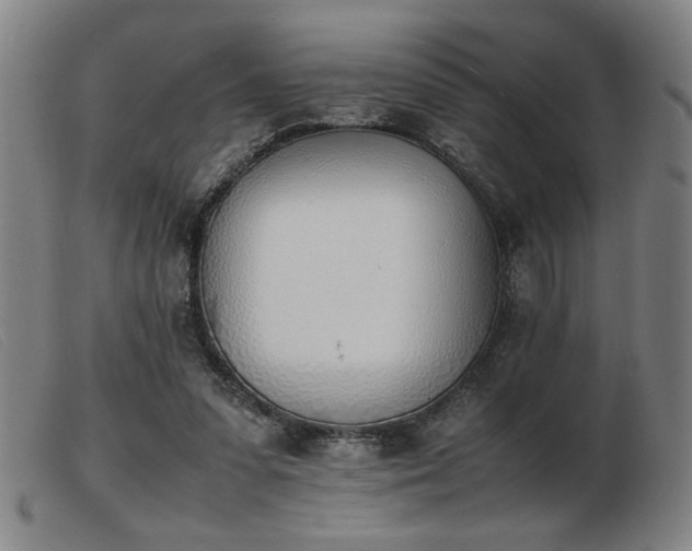 X0000103900303200809191245