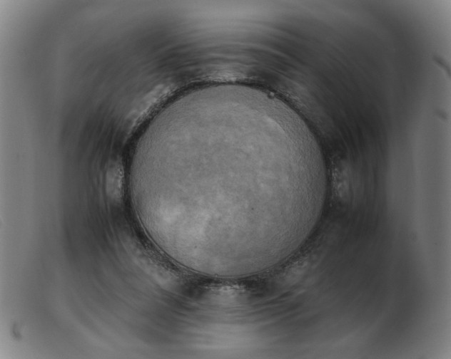 X0000103900304200809191245