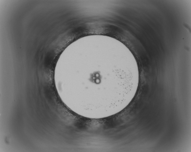 X0000103900305200809191245
