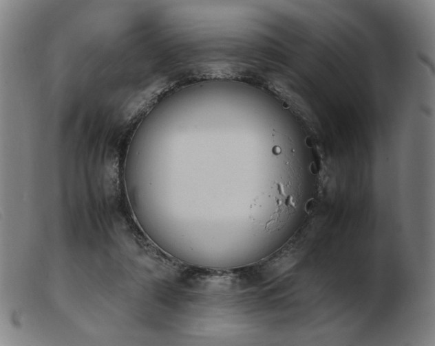 X0000103900306200809191245