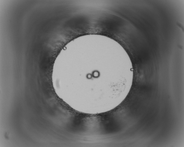 X0000103900307200809191245