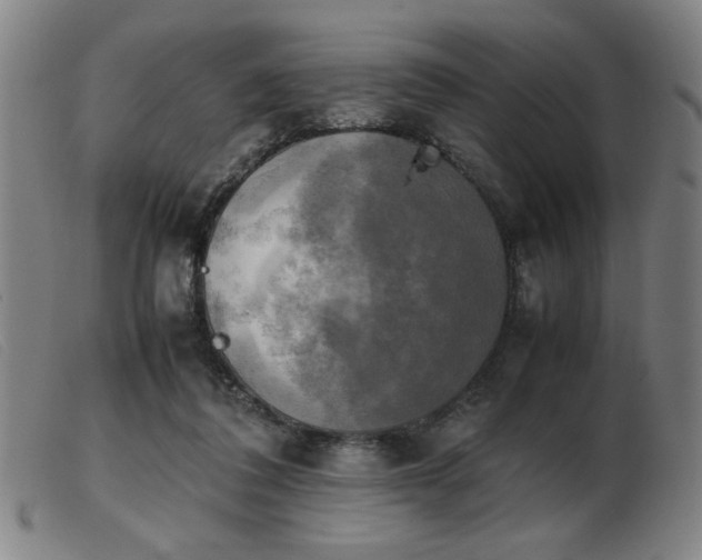 X0000103900308200809191245