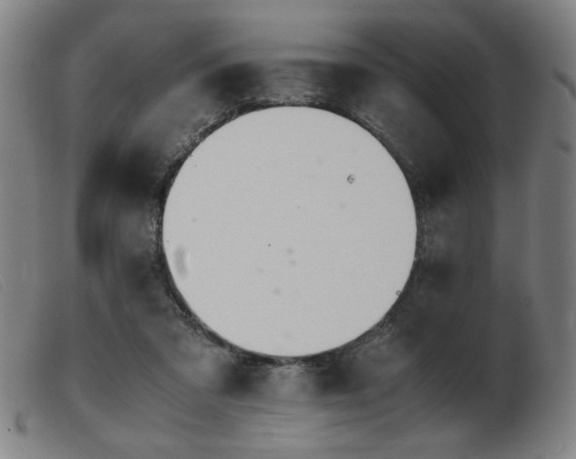 X0000103900309200809191245