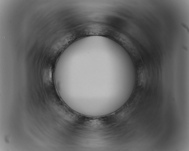 X0000103900310200809191245