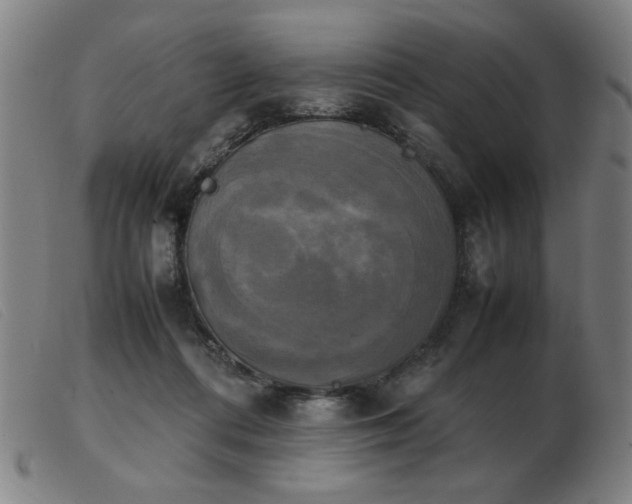 X0000103900312200809191245