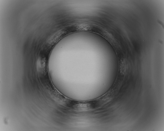 X0000103900314200809191245