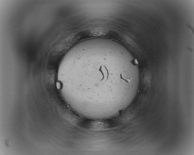 X0000103900315200809191245