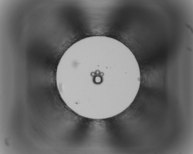 X0000103900317200809191245