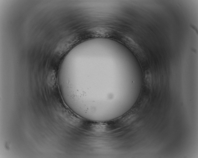 X0000103900318200809191245