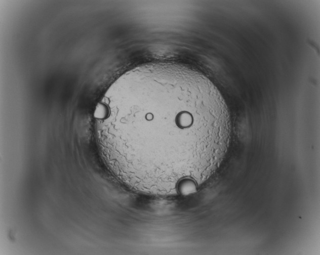 X0000103900319200809191245