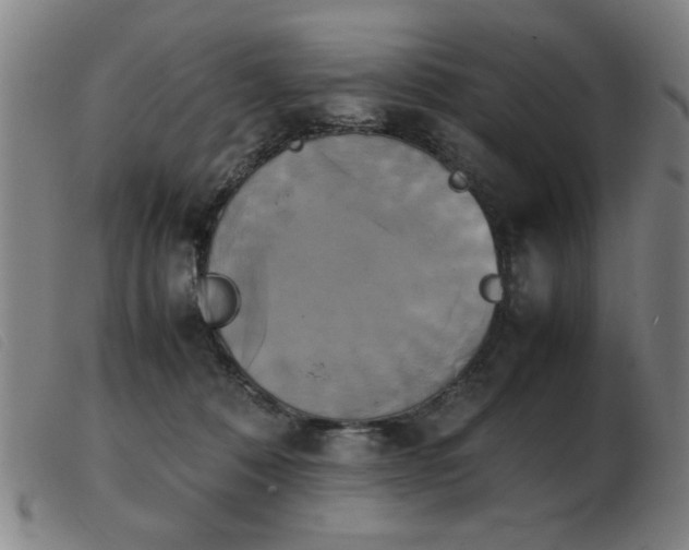 X0000103900320200809191245
