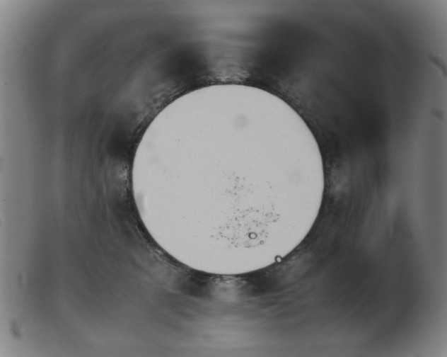 X0000103900321200809191245