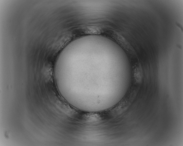 X0000103900322200809191245