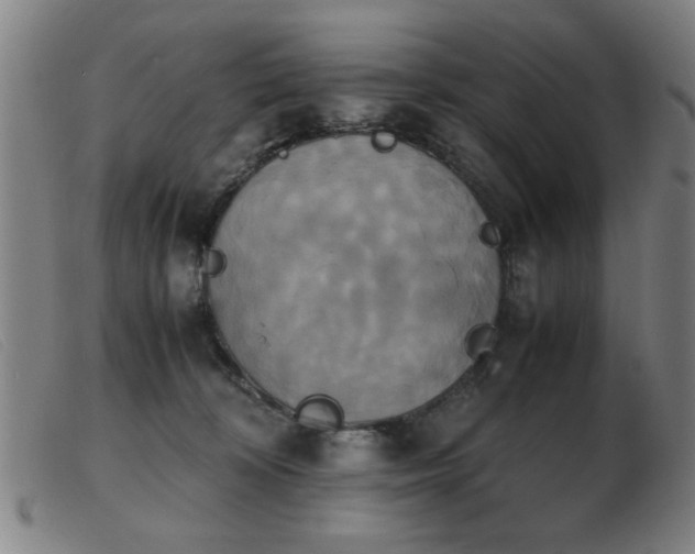 X0000103900324200809191245