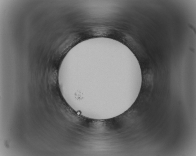 X0000103900325200809191244