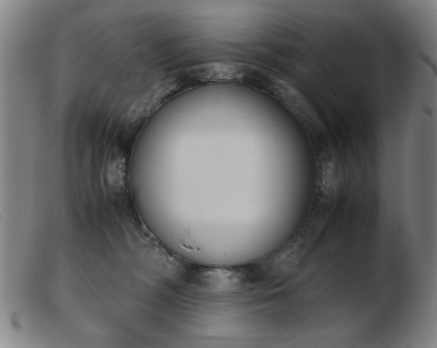 X0000103900326200809191244
