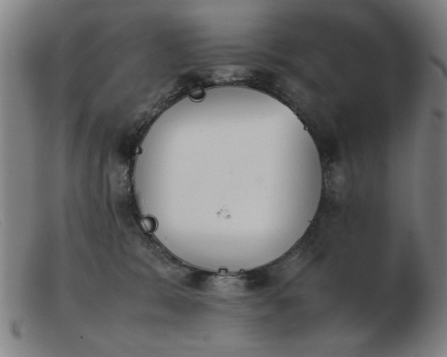 X0000103900327200809191244