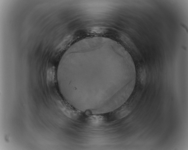 X0000103900328200809191244