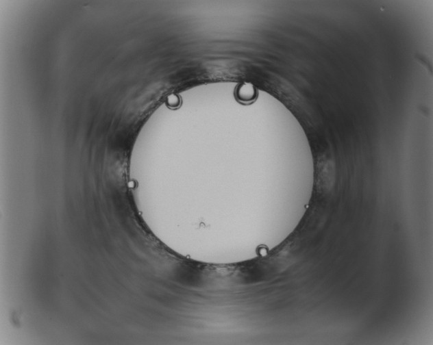 X0000103900329200809191244