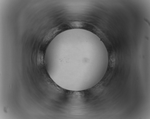X0000103900330200809191244