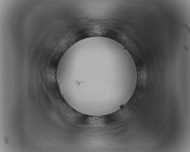 X0000103900331200809191244