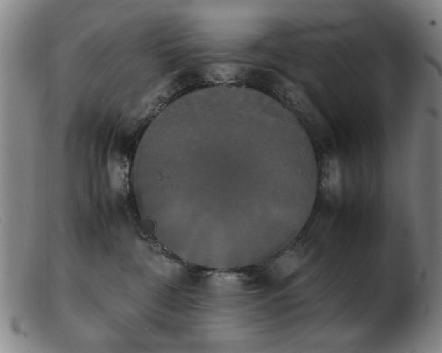 X0000103900332200809191244